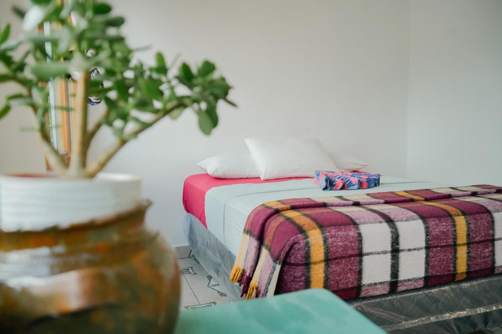 산 마르코스 라 라구나 Casa Madera 호스텔 외부 사진