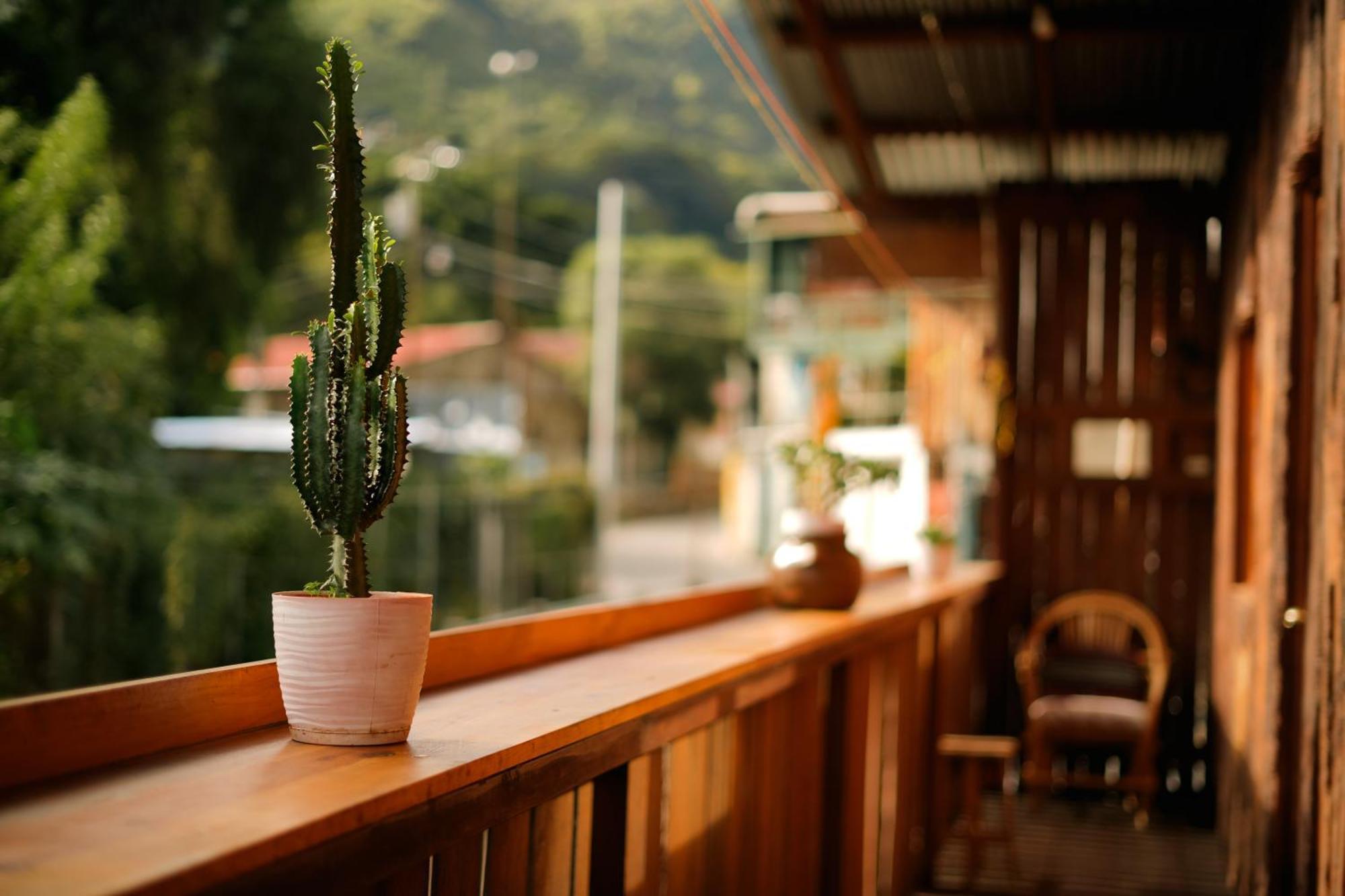 산 마르코스 라 라구나 Casa Madera 호스텔 외부 사진